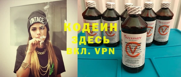 индика Нязепетровск