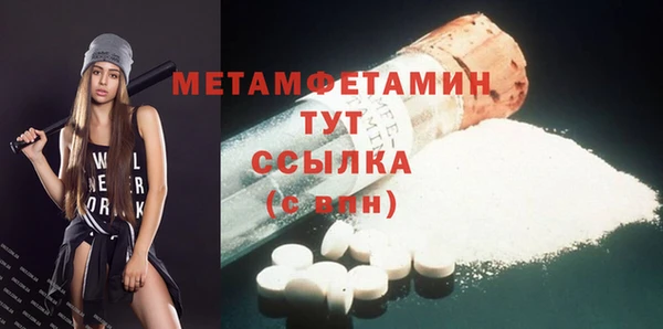 индика Нязепетровск