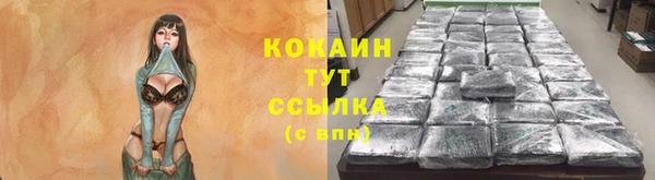 индика Нязепетровск