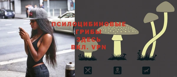 ешки Нягань