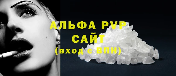 индика Нязепетровск