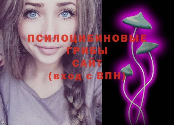 ешки Нягань