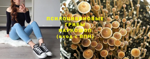 ешки Нягань