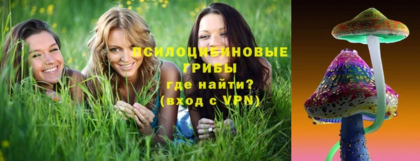 индика Нязепетровск