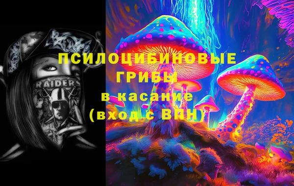 индика Нязепетровск