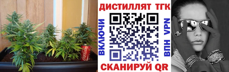 закладка  Родники  Дистиллят ТГК Wax 