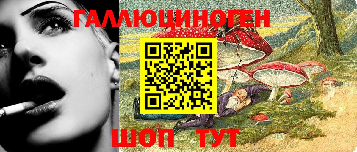 Галлюциногенные грибы Psilocybe Родники
